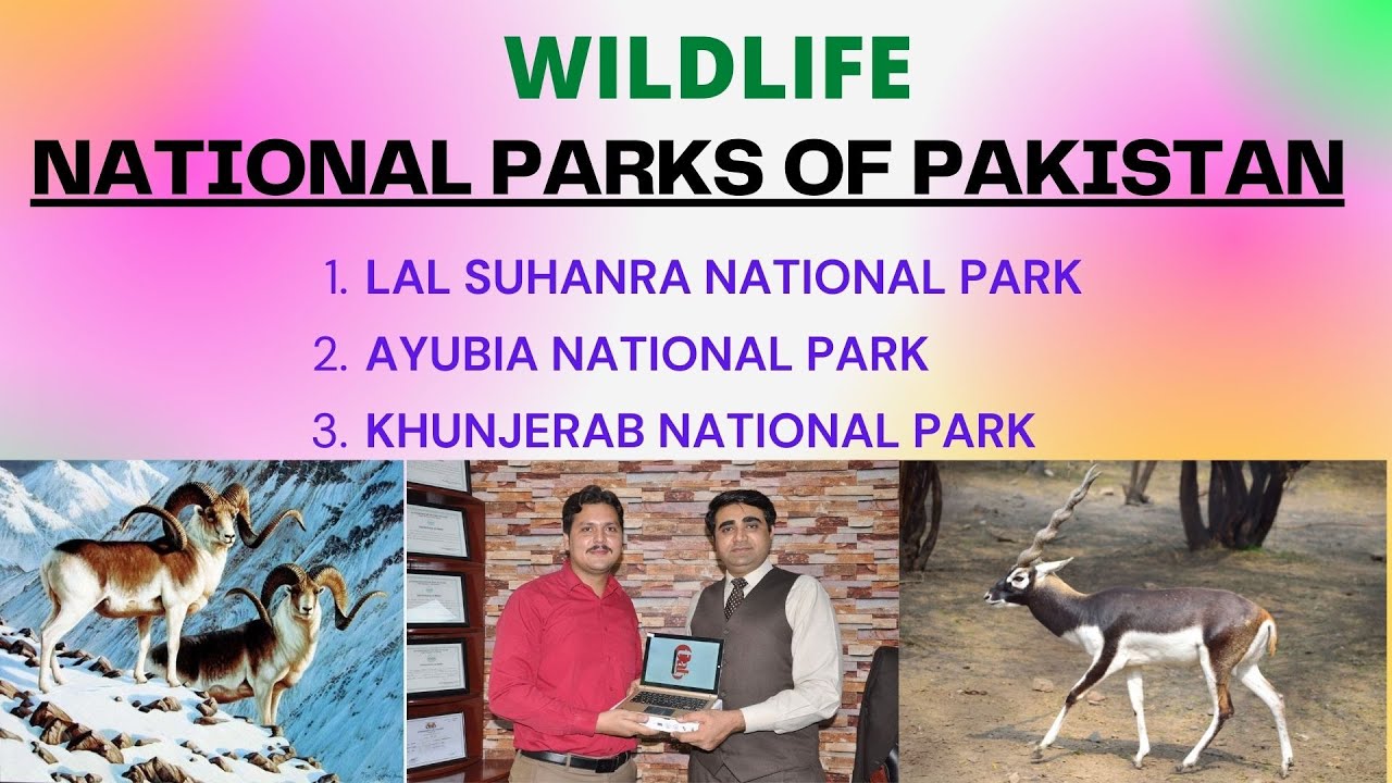 LAL SUHANRA, AYUBIA, KHUNJERAB NATIONAL PARKS OF PAKISTAN