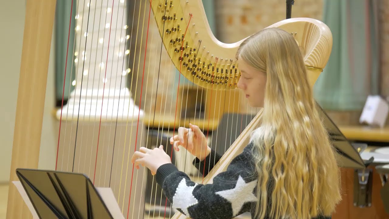 The Hall&eacute; - Hall&eacute; Youth Orchestra: Waltz of the Flowers
