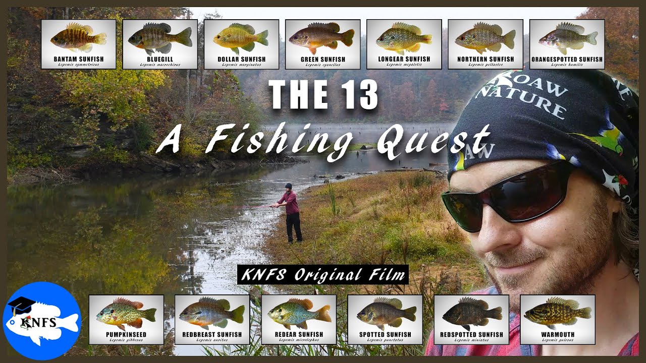 The 13 | A Fishing Quest for All the Common Sunfishes