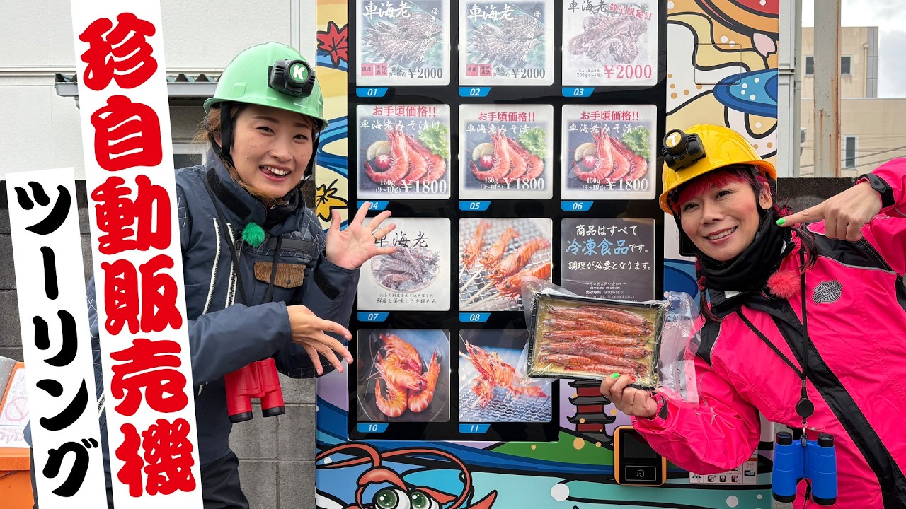 【京都の珍自販機】ポケカからエビ 京土産まで買える珍自販機！珍スポ探検隊！ ＃変わり種自販機