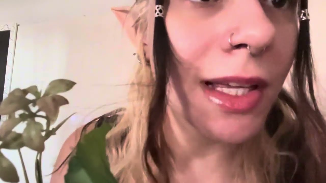Asmr Caseiro 🌸 - Elfa do Sono