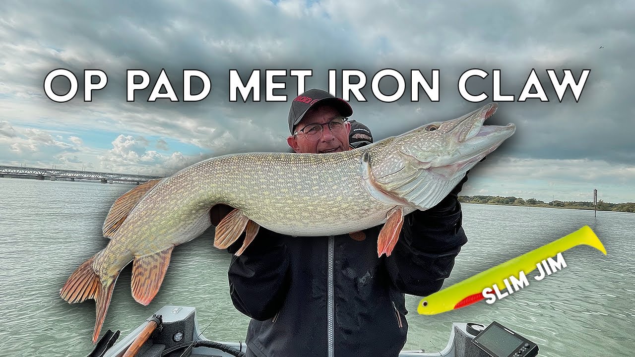 Op pad met Iron Claw Slim Jim.
