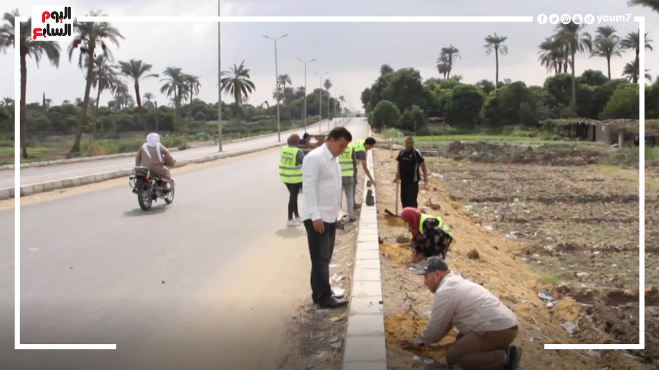 الفيوم تتجمل بـ 10 آلاف شجرة .. اتحضر للأخضر تطوف المدارس و القرى