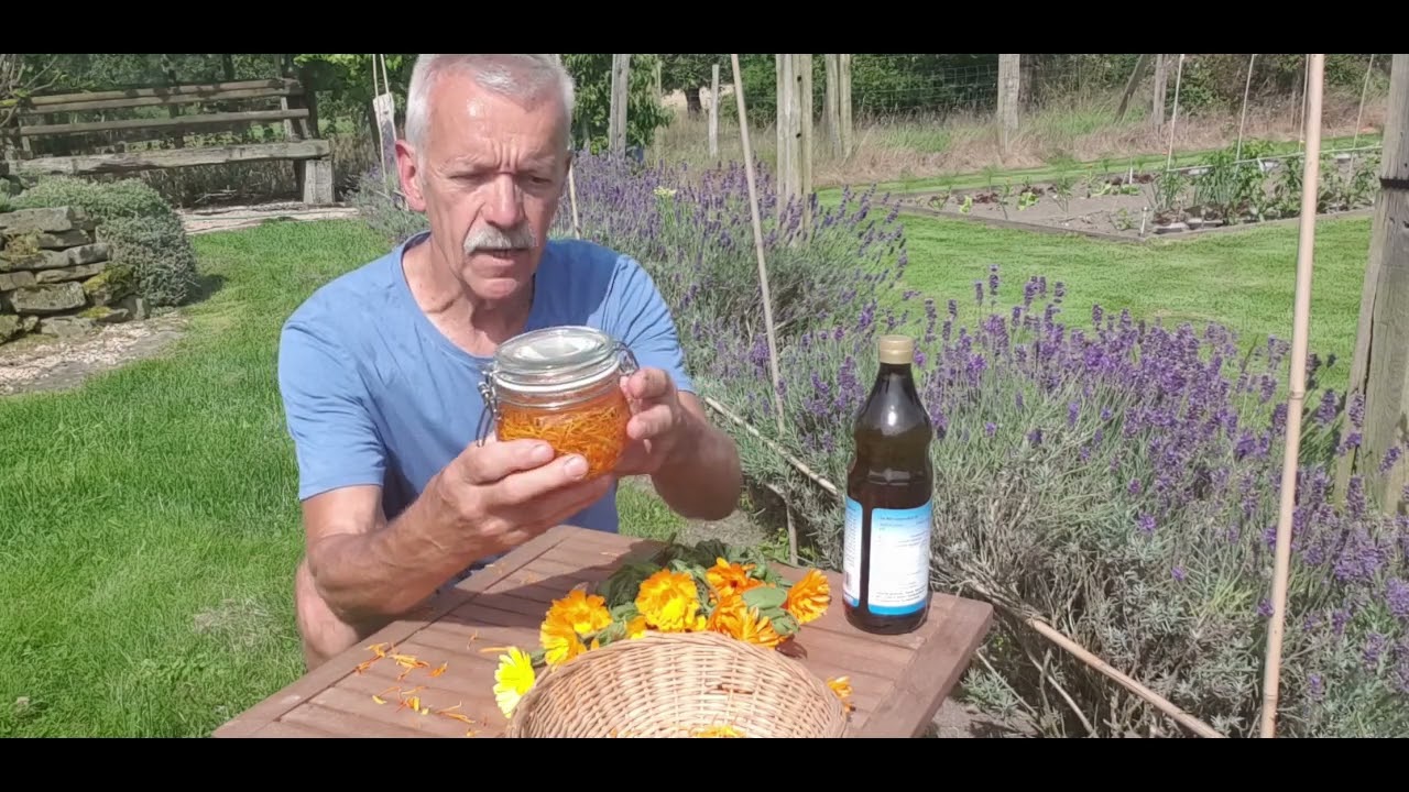 Ringelblumensalbe herstellen- so geht's.
