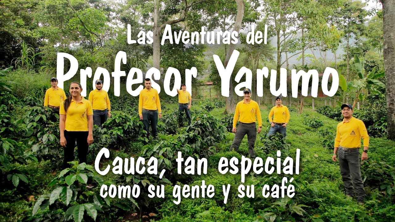 Las Aventuras del Profesor Yarumo: El departamento de Cauca, tan especial como su gente y su café.