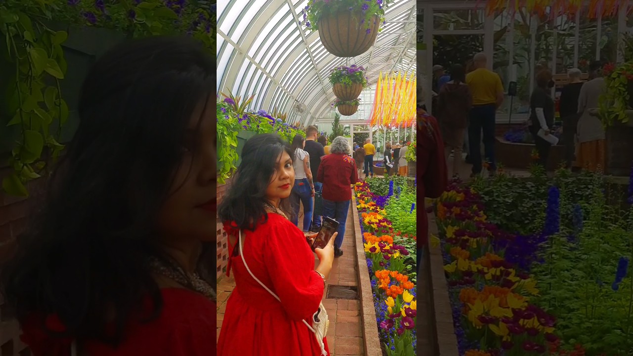 Beautiful Flower Status👫😍 U & Me💝 #shorts #youtubeshorts #viral #flowers