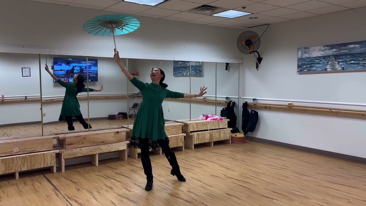 张老师“雨巷佳人”教学视频（1、2）