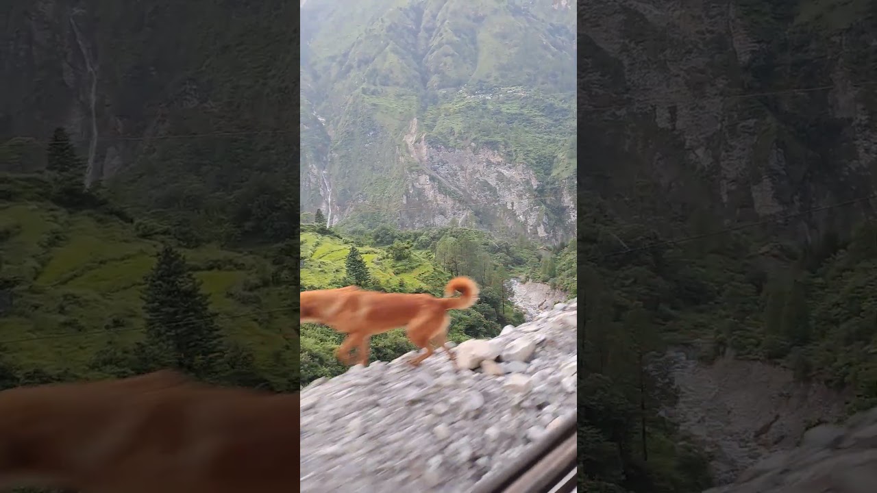 Mountain UK
