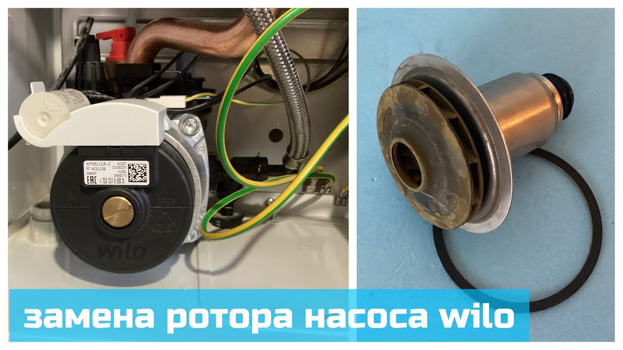 Замена ротора насоса Wilo на котле Protherm ray 12 ke