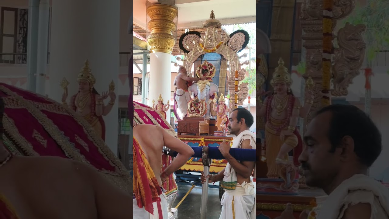 Airavatha vahana Pooja#smtd#muttath#allapuzha#airavat#ulsavam2026#aratuvibe#besttemple#gsb#trending