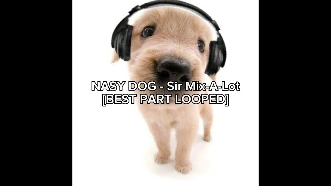 NASTY DOG - Sir Mix-A-Lot [BEST PART LOOPED]