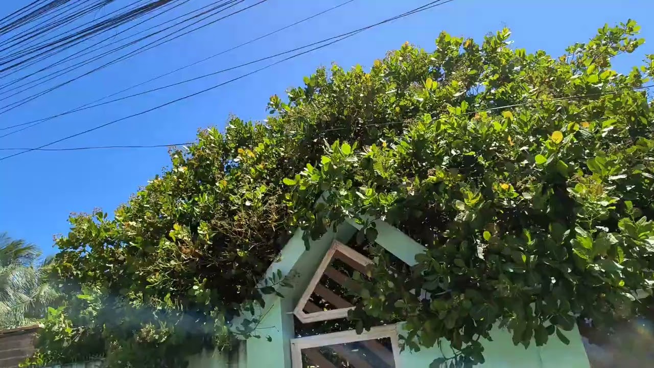 Dia de Praia em Geribatuba 🌊 Vera Cruz – Bahia