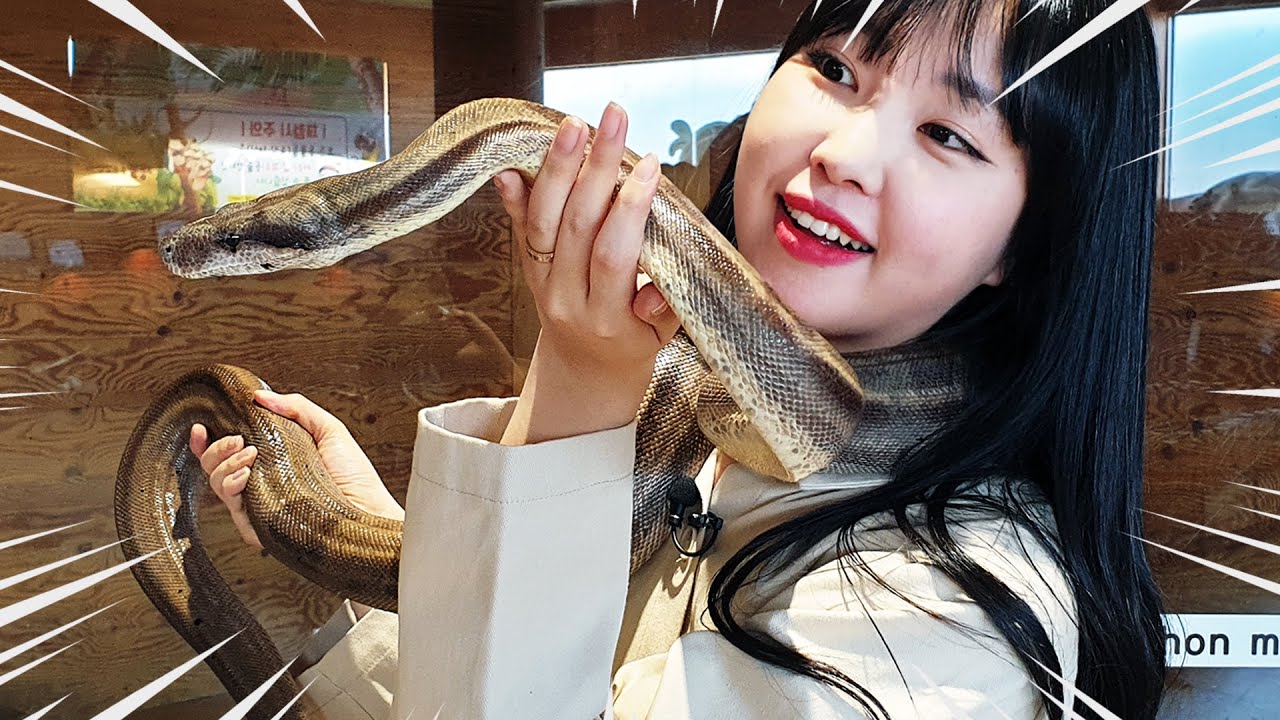 Это гигантская змея! Рептилии Ящерица Черепаха в Музее насекомых Наблюдение за животными