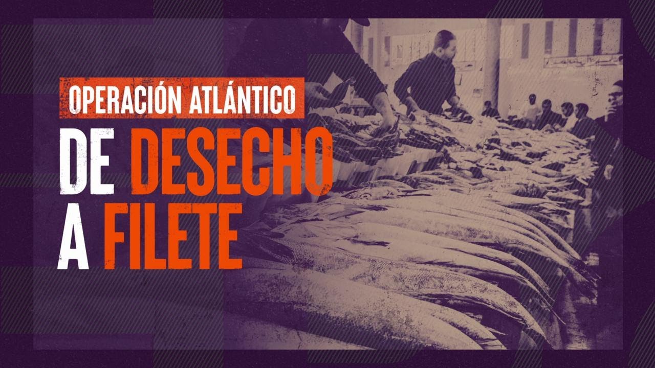 Robo de salmones: de desecho a filete - #ReportajesT13