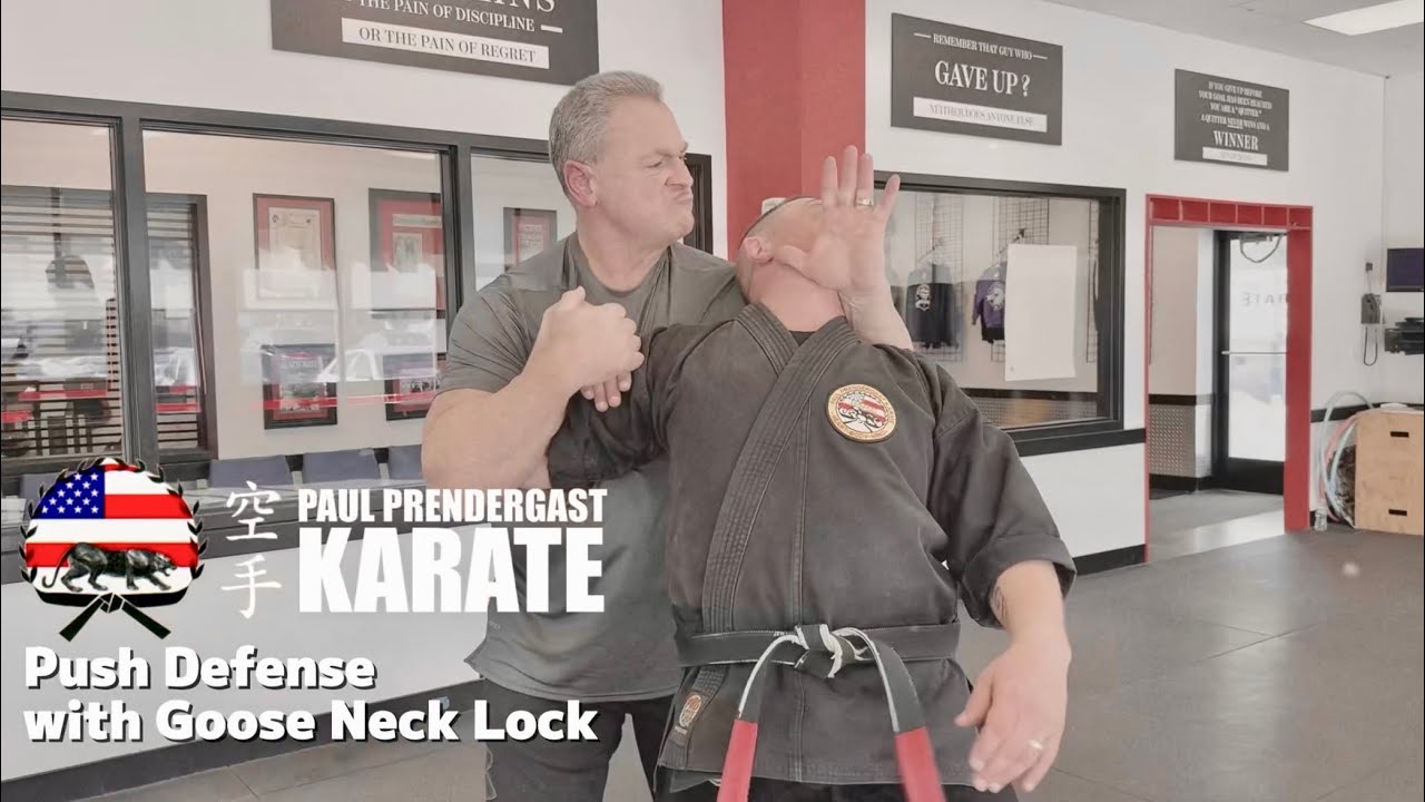 They Push You... Make Them Pay | Paul Prendergast Karate