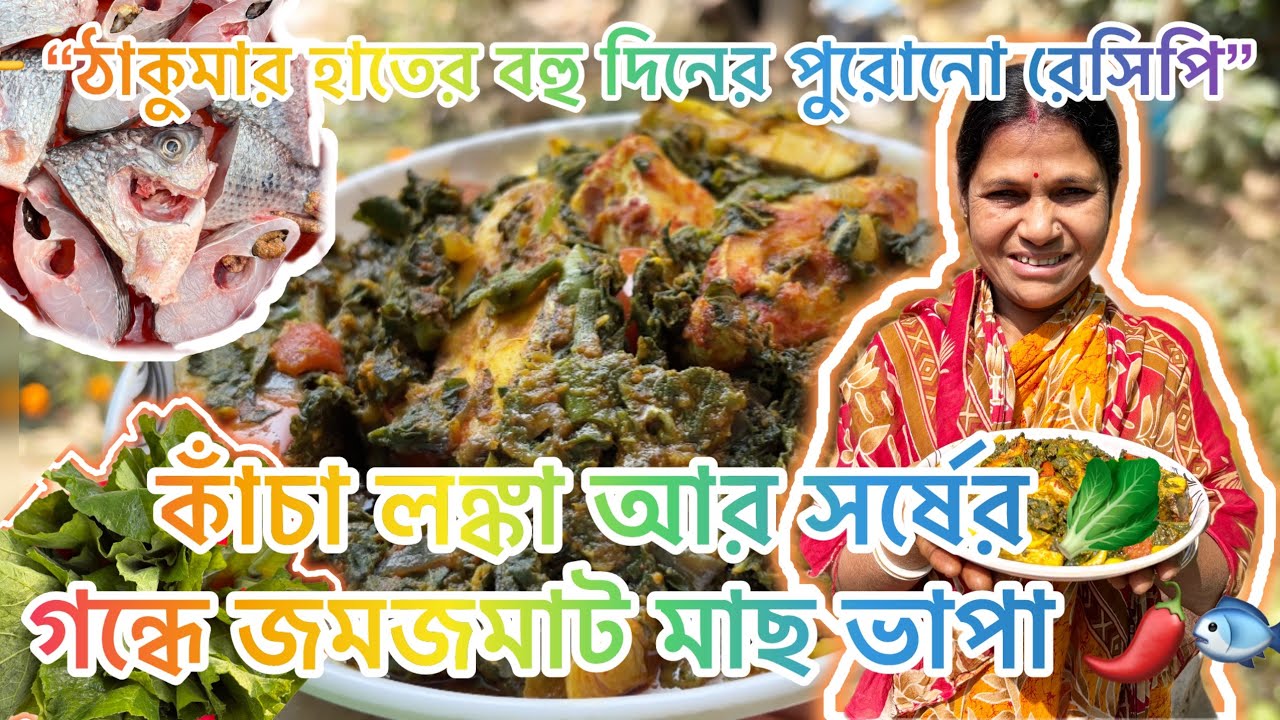 👉 “ঠাকুমার হাতের বহু দিনের পুরোনো রেসিপি”| 🌶️সহজ উপায়ে পারফেক্ট মাছ ভাপা 🐟 | #cooking #recipe 