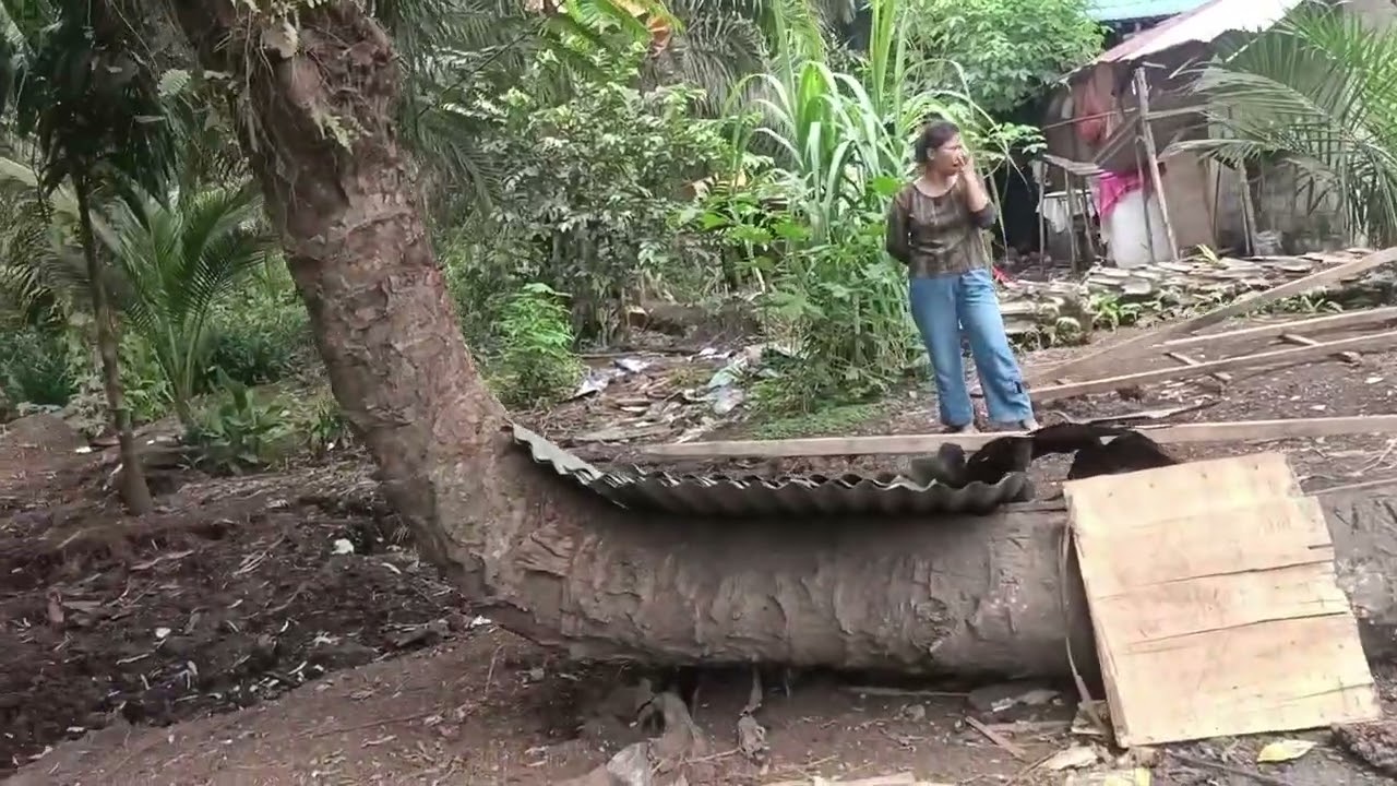 Alhamdulillah dapat rejeki masakan nasi dari ibu yang ada di Singapura 