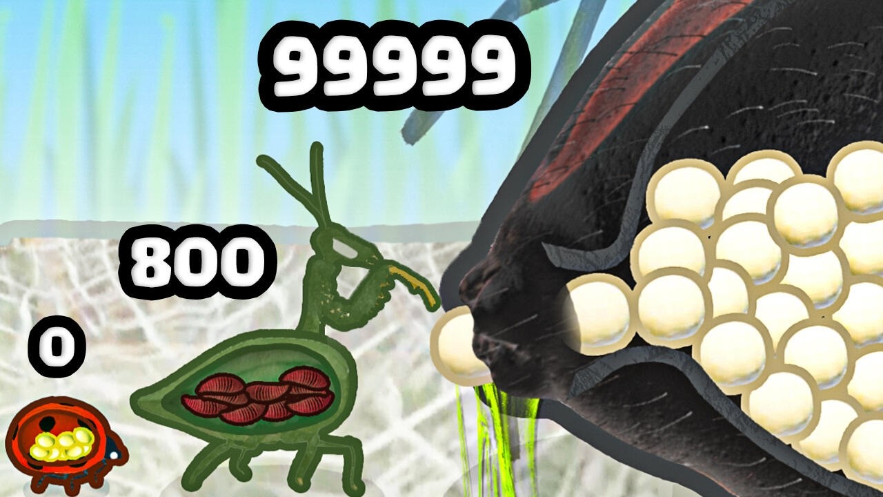 Which Pregnant Insect lays the STRONGEST Eggs?