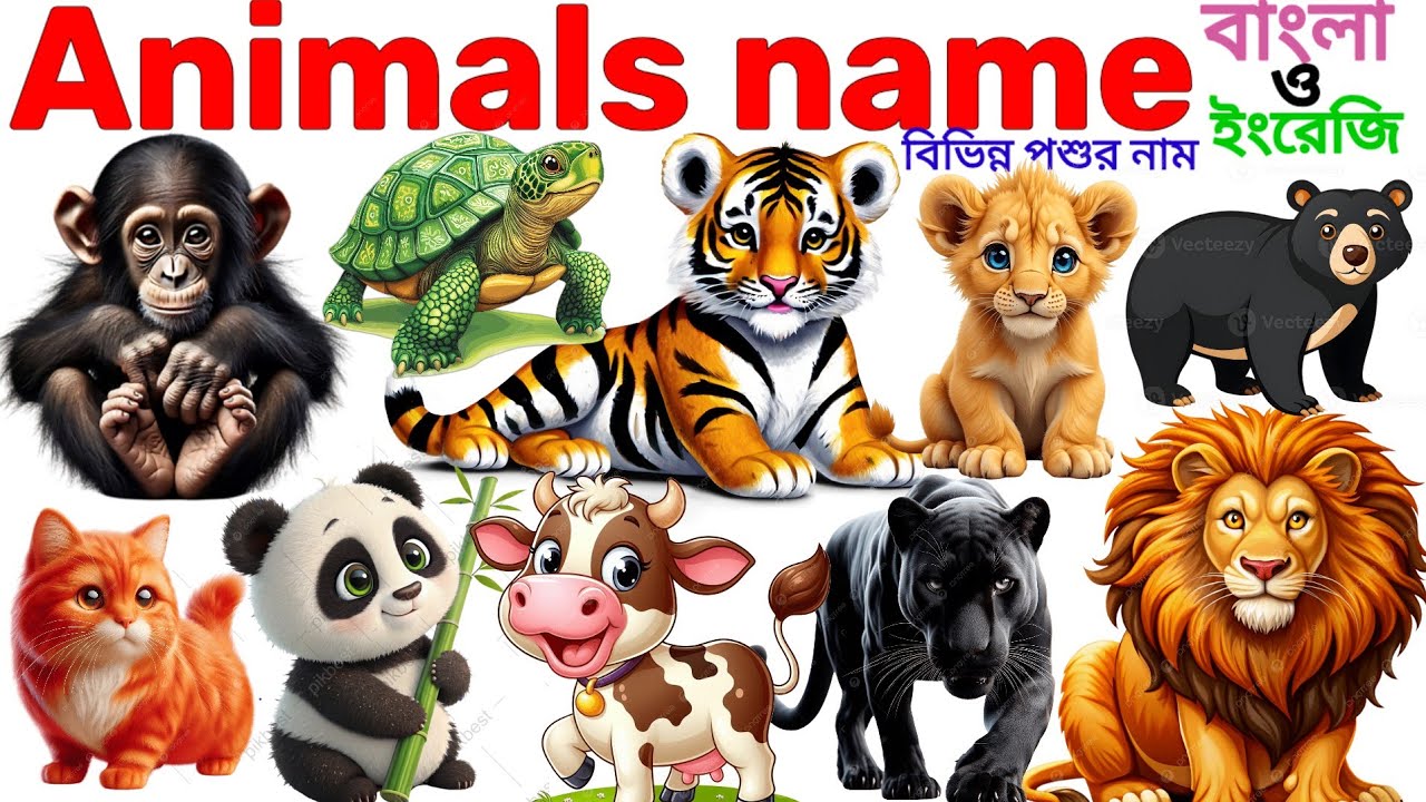 Animals Name 🐯🐕| Animals Name in Bengali to English With Pictures | Animals Name for Kids | Animals