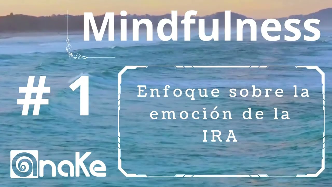 ENFOQUE SOBRE LA EMOCIÓN DE LA IRA