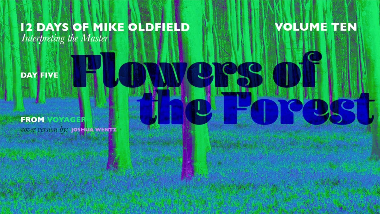 Flowers of the Forest (Mike Oldfield Cover)