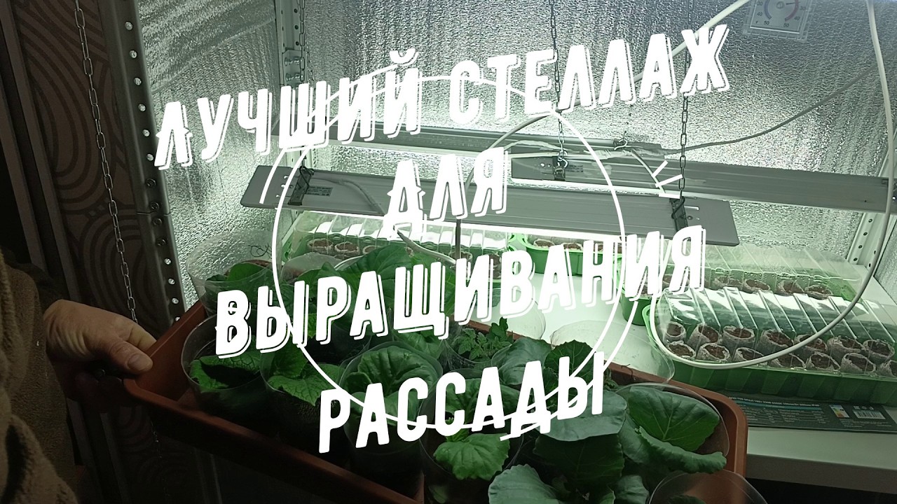 Стеллаж для рассады