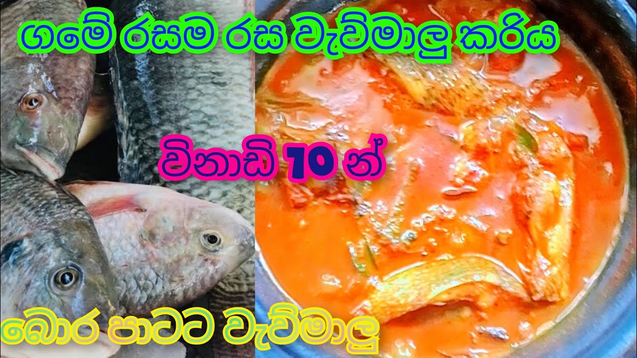 රසම රස වැව්මාලු කරිය😋බොර පාටට,මාලූ කුඩු වෙන්නෙ නැතිව උයන හරිම විදිය  මෙන්න💁 #waumalucurry #waumalu😋