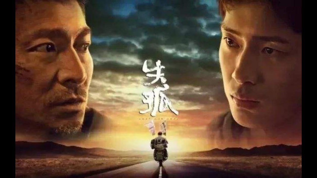 一个真实故事改编的电影，4岁儿子被拐，苦苦坚持寻子14年