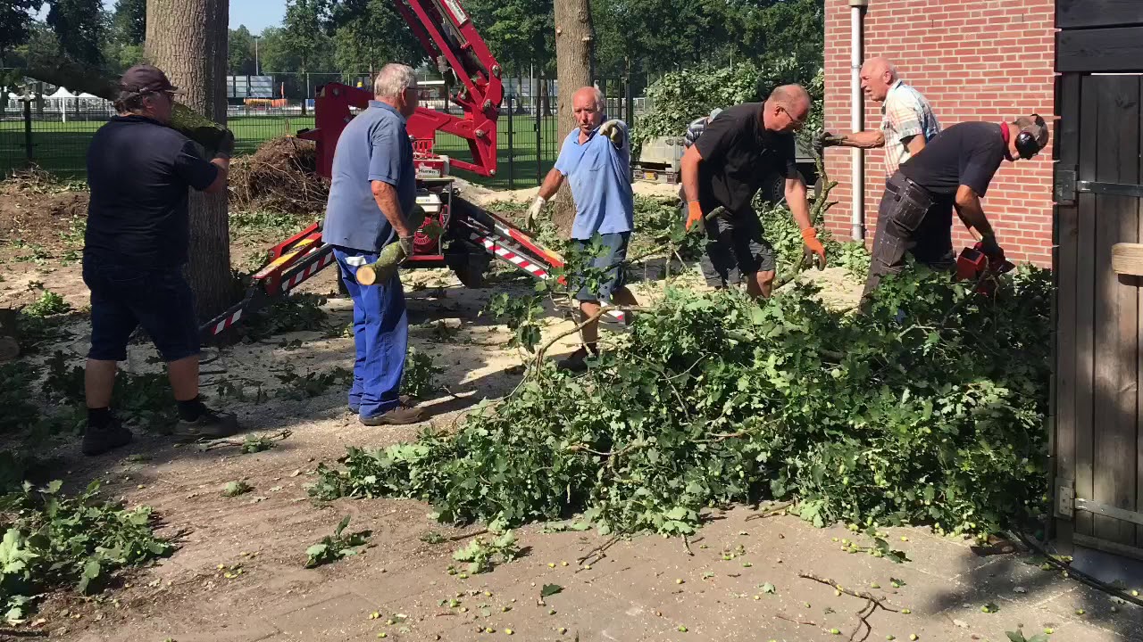 Eiken maken plaats voor Jeu de Boules hal bij Le Jeteur