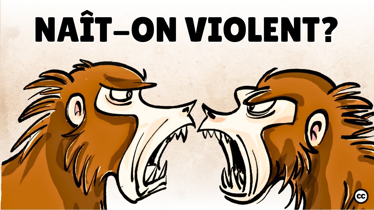Pourquoi sommes-nous violents ? Les causes sociales de la violence selon Sapolsky