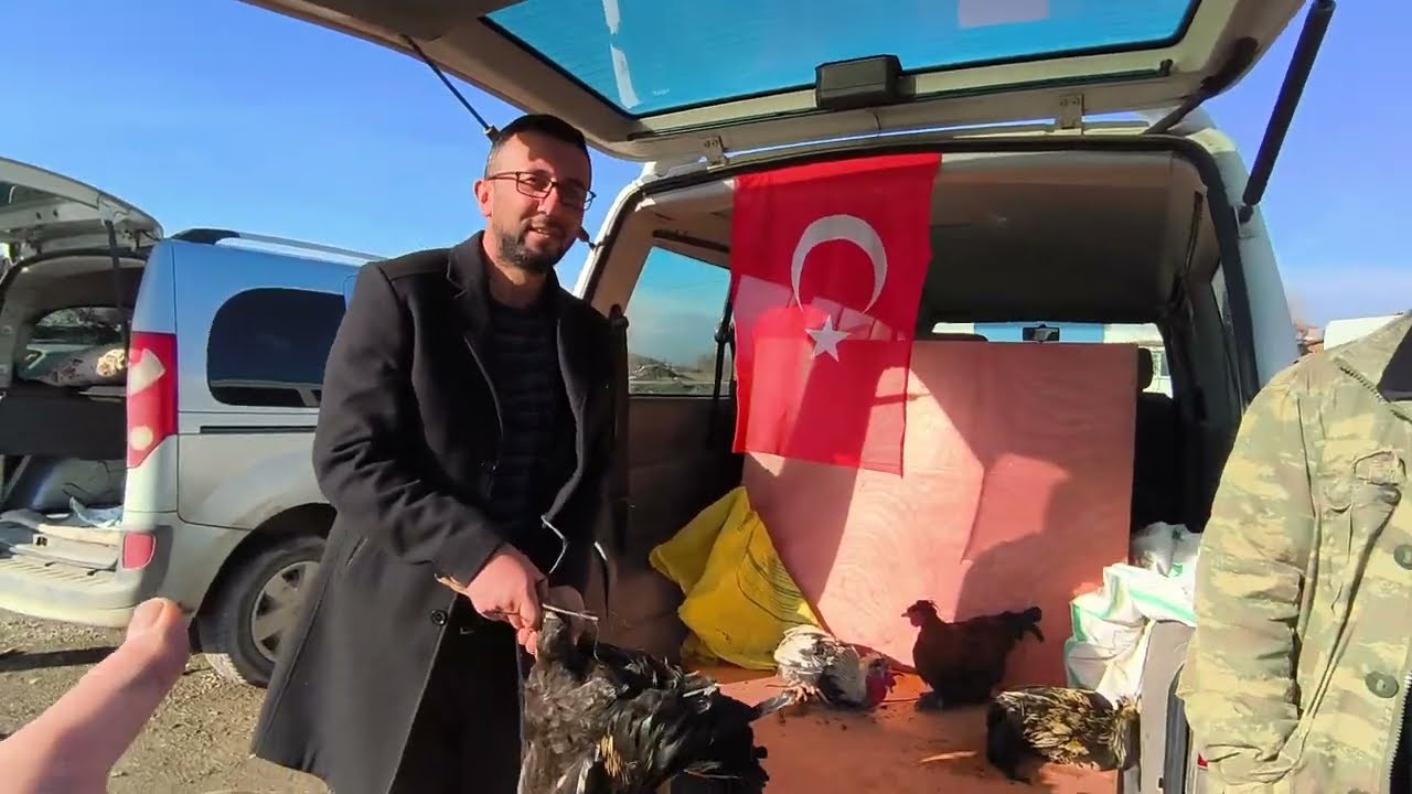 ÇORUM SUNGURLU TAVUK PAZARI 12 ŞUBAT 2026 MURAT GÜRGİL 