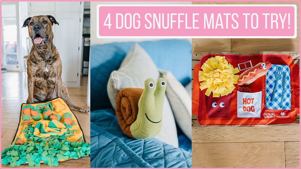 4 Snuffle Mats For Dogs: Dog Enrichment Activity Idea