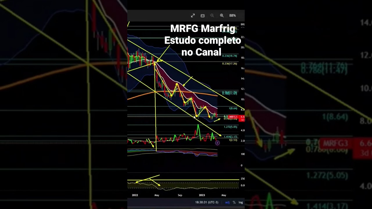MRFG3 Marfrig