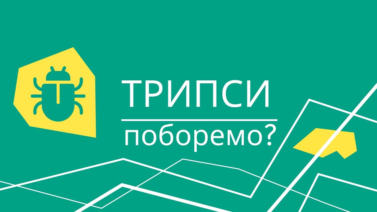 Трипси на троянді. Врятувати не можна викинути.