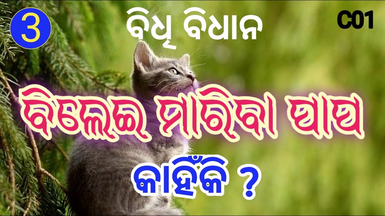 Sl.9/C01- ବିଲେଇ ମାରିବା ପାପ (ବିଧି ବିଧାନ)- bilei mariba papa....# SATYA DARSHAN.