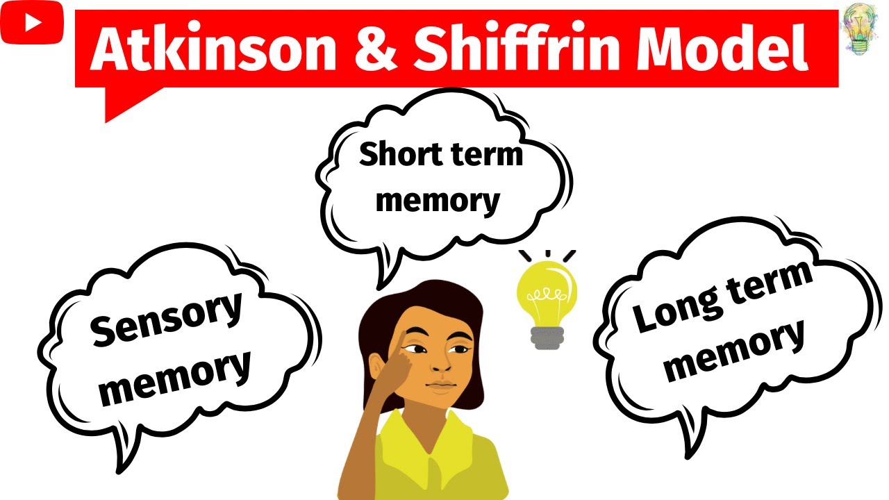 Atkinson and Shiffrin model of memory|Multi store model of memory|Sensory, STM, LTM | Psychology 🧠🧠