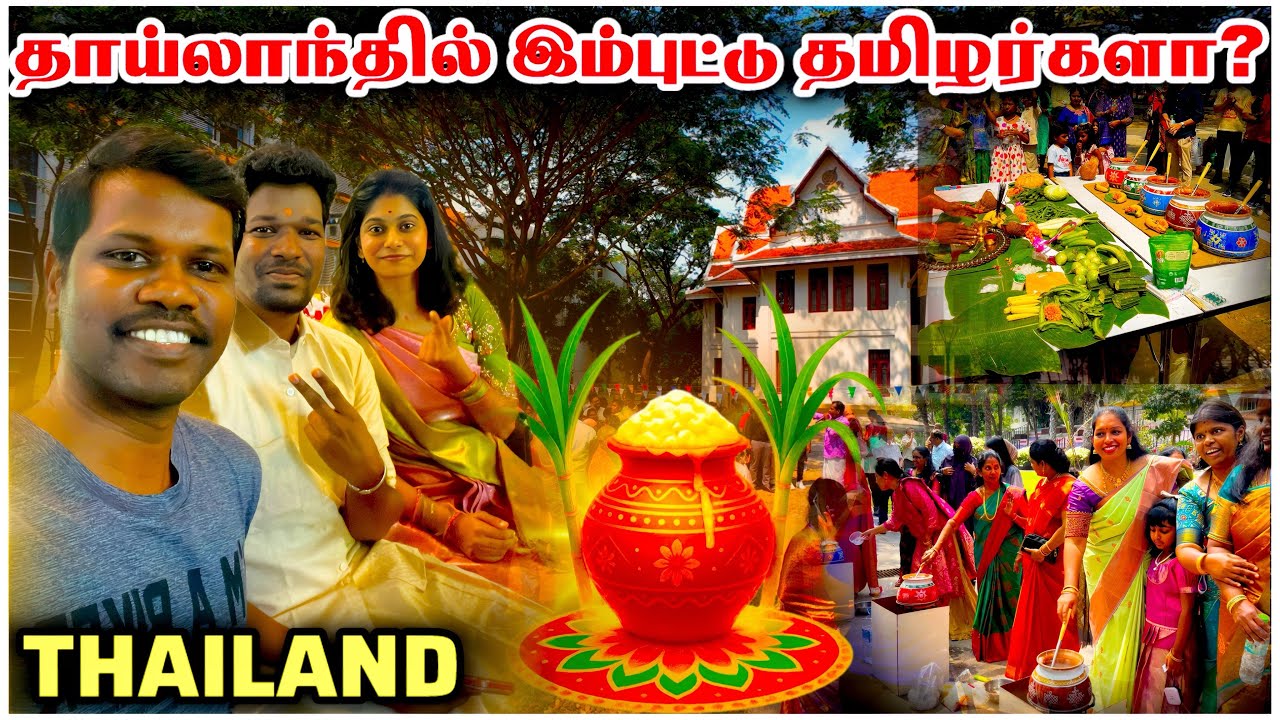 Pongal Celebration in Thailand | Tamil Community Preserving Culture Abroad 🌾✨