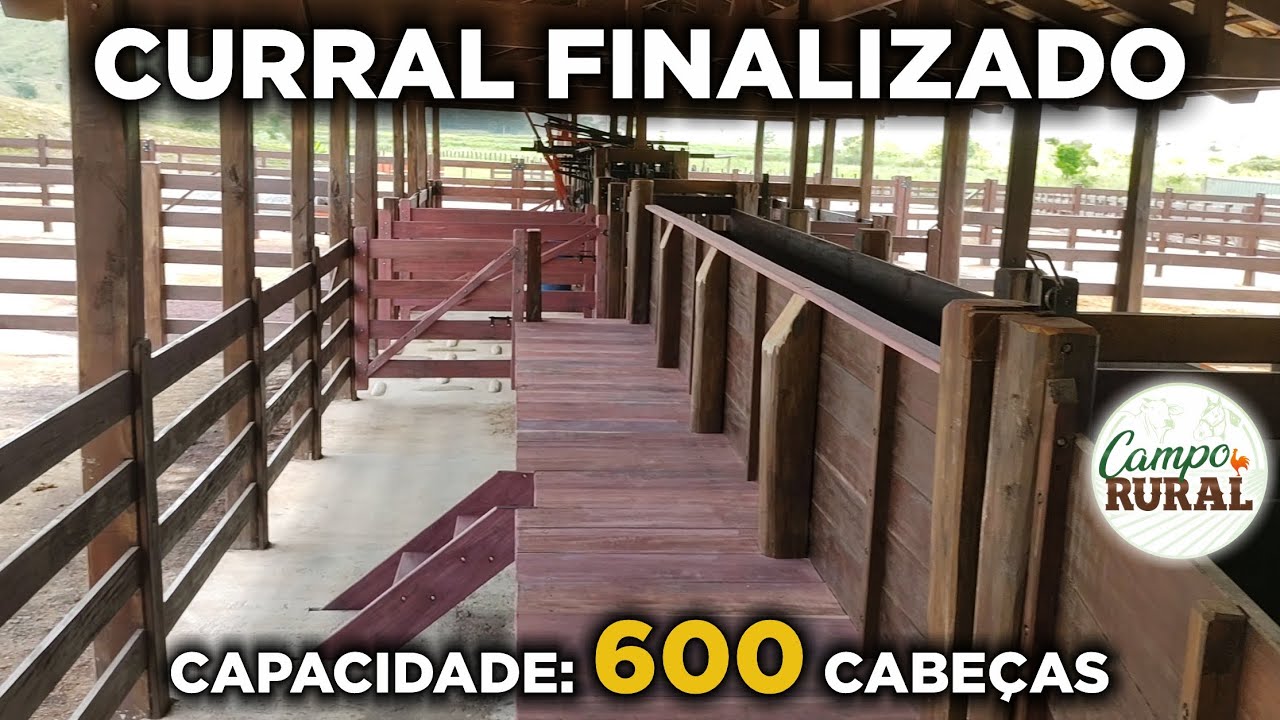 CURRAL 600 CABEÇAS VÍDEO FINALIZADO