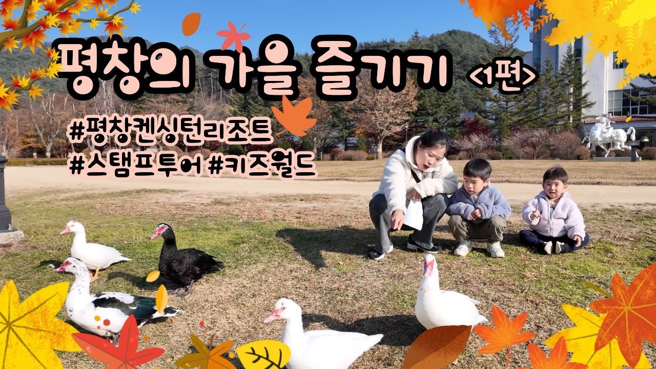 2025평창여행 Vlog 1편 / 가을단풍췤췤 / 평창켄싱턴리조트