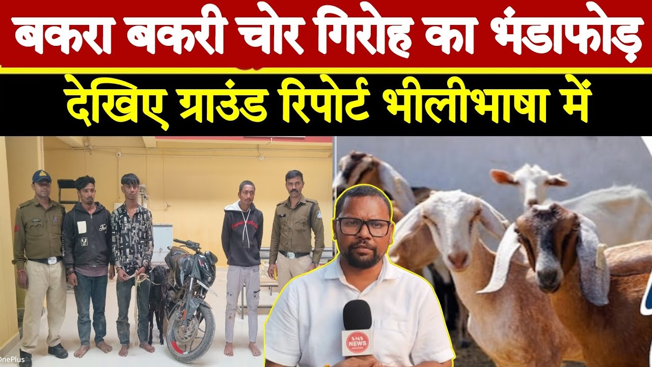 बकरा बकरी चोर गिरोह का भंडाफोड़ ग्राउंड रिपोर्ट भीलीभाषा दिनदहाड़े झाबुआ मे पुलिस ने किया गिरफ्तार 