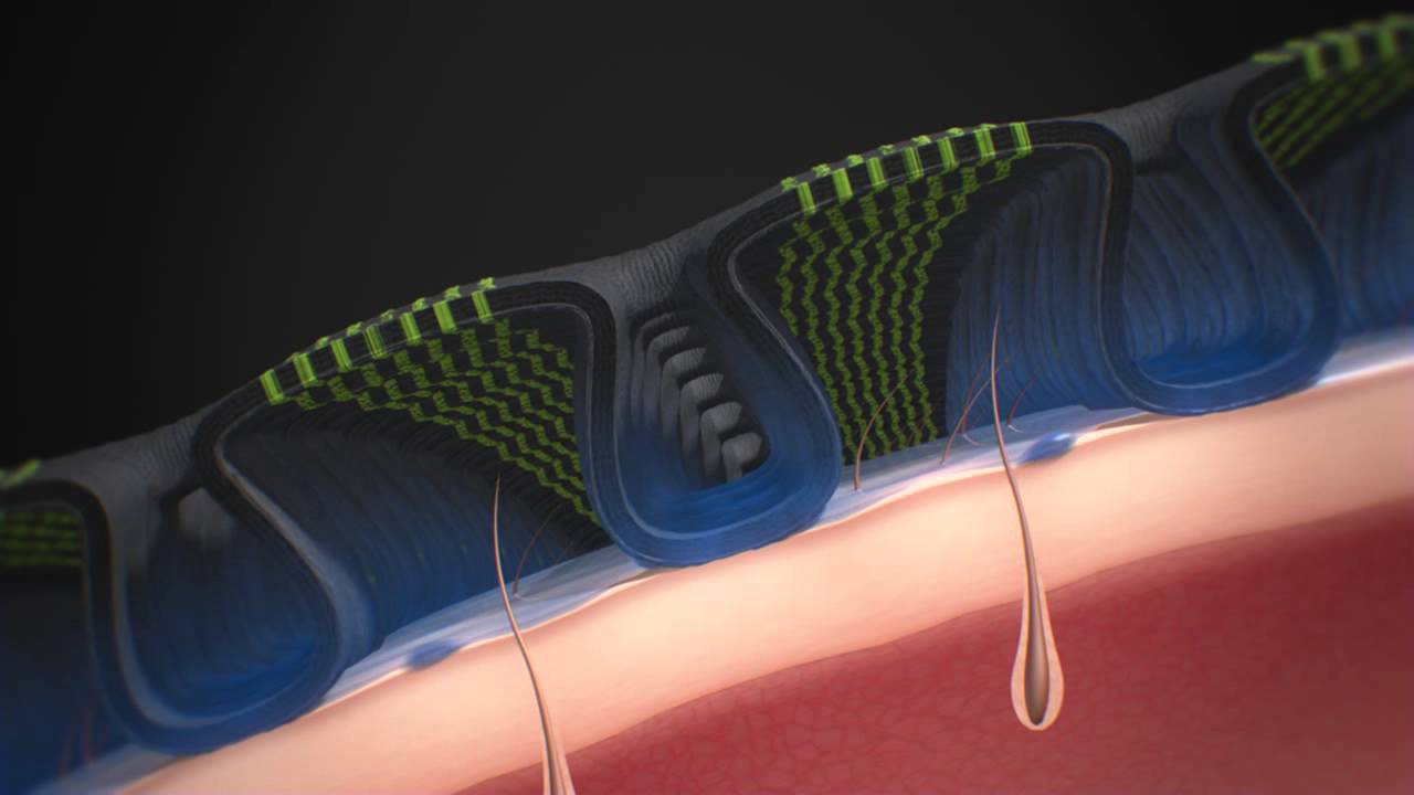 X-BIONIC&reg; 3D-BionicSphere&reg; System