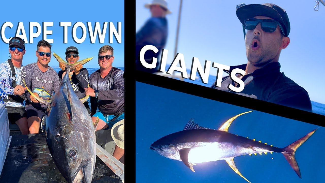 Cape Town Giants! Tuna from the deep!