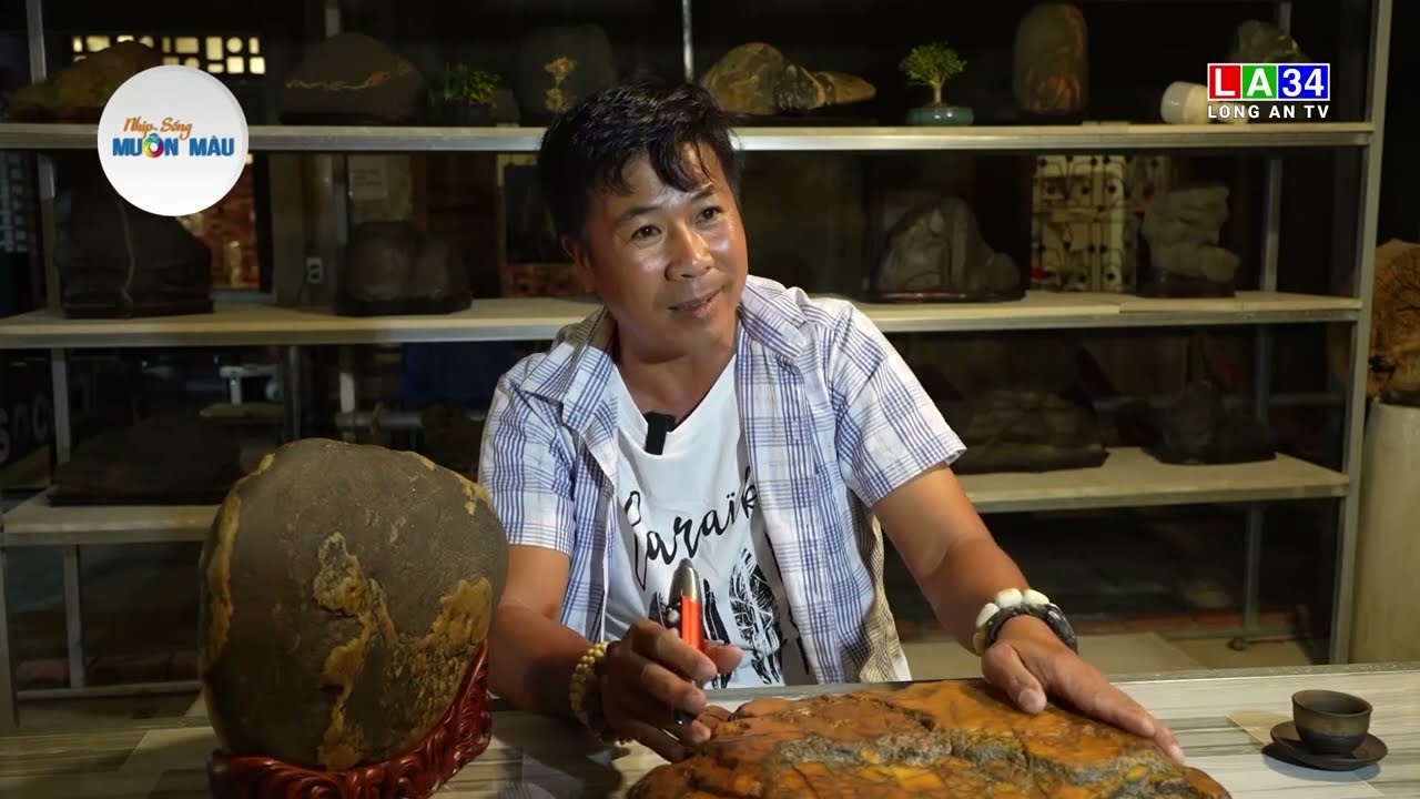 Nhịp sống muôn màu: Thú chơi đá cảnh Suiseki I LONG AN TV