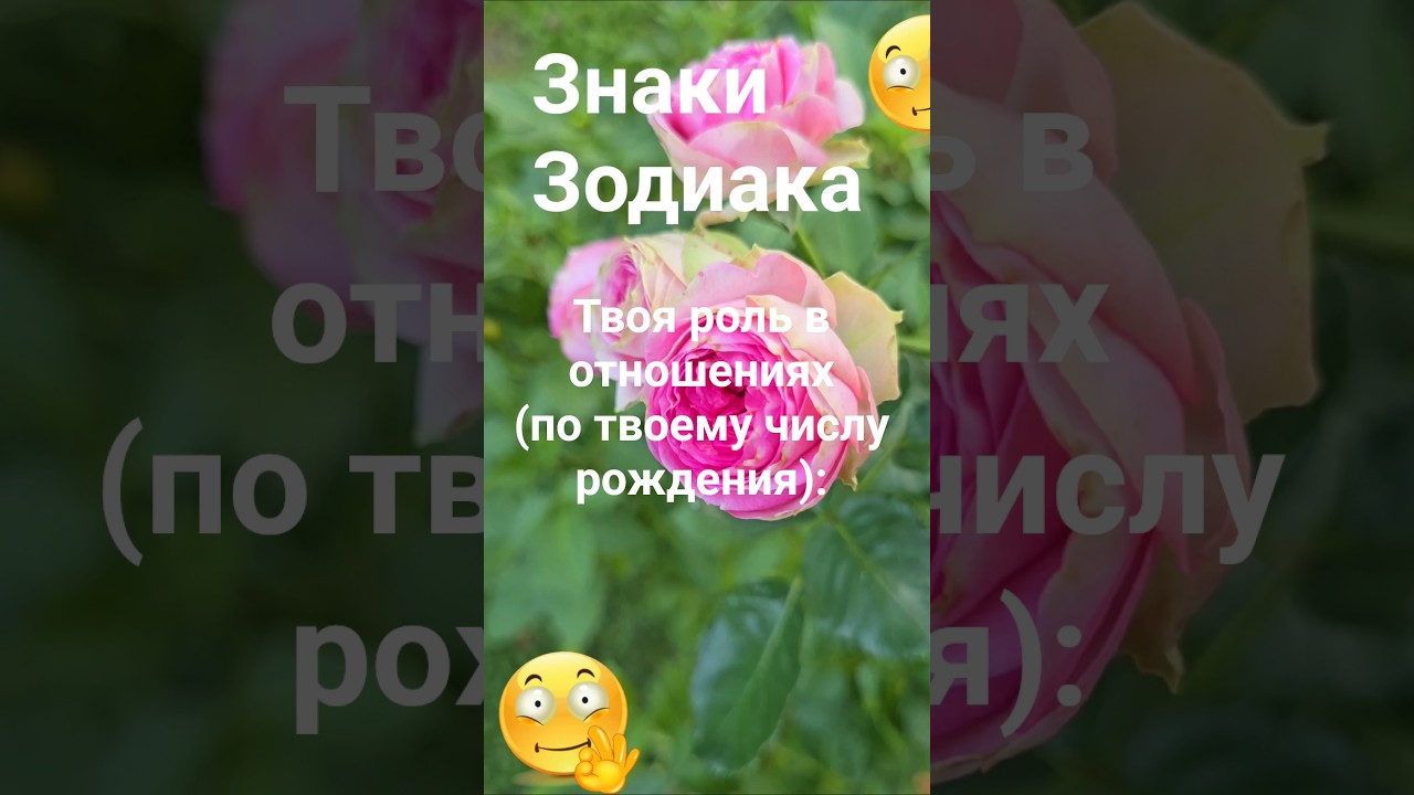 Твоя роль в отношениях ( по дню рождения ) / Эзотерика Знаки Зодиака Астрология Нумерология