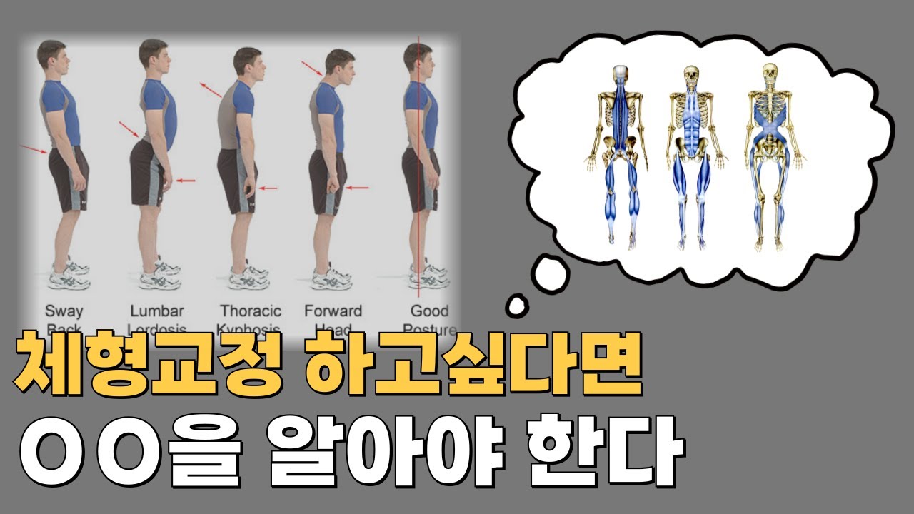 체형교정 하고싶다면 OO 을 알아야 한다