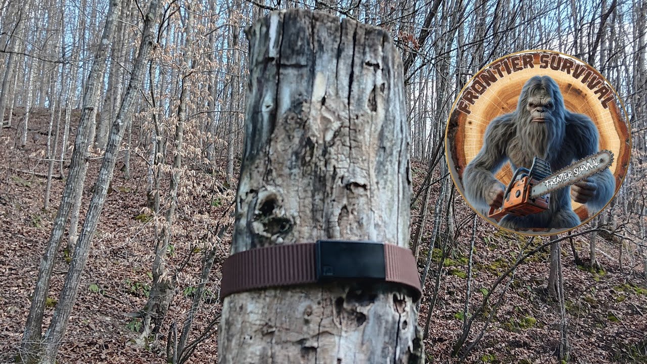 Unbeatable Versatility: Fairwin Ratcheting Belt Review #frontiersurvival #outdoorgear #versatilebelt