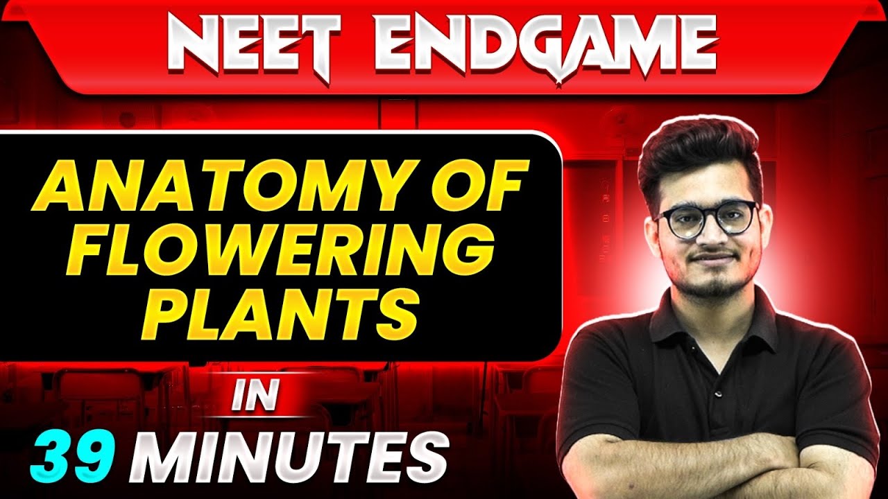 ANATOMY OF FLOWERING PLANTS in 39 Minutes || NEET 2024