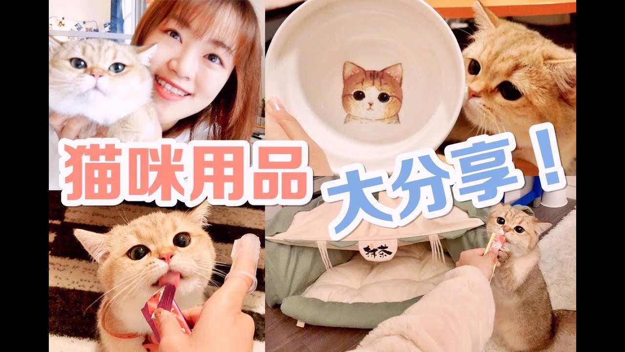 猫咪用品购物分享 l 新手猫奴养猫必看 l 一个超长的吸猫视频～