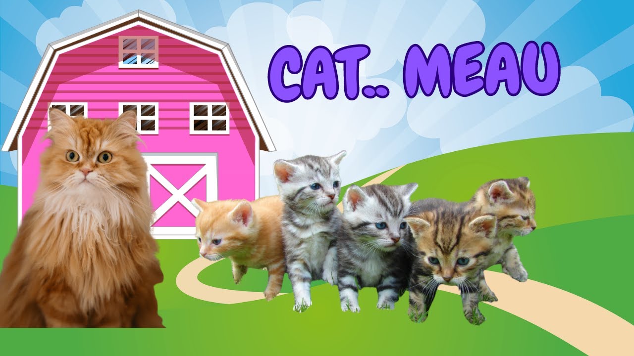 Cats meau... - Learn animal sounds!!