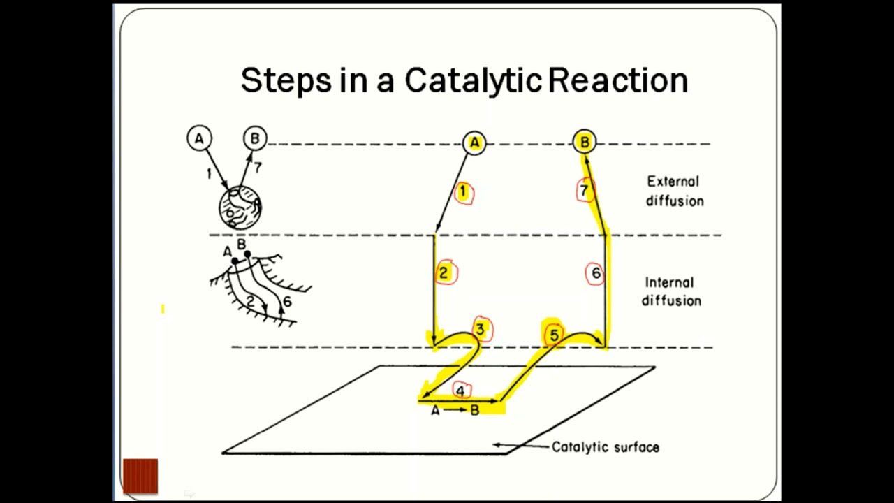 Catalytic Reactors/ part 1